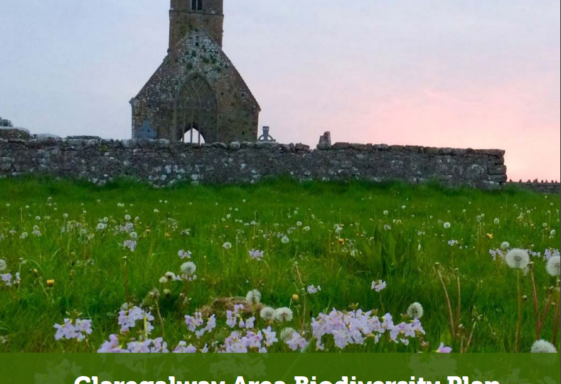 Claregalway Biodiversity Action Plan