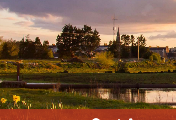 Gort Biodiversity Action Plan