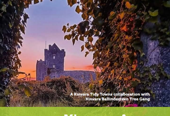 Kinvara Biodiversity Action Plan