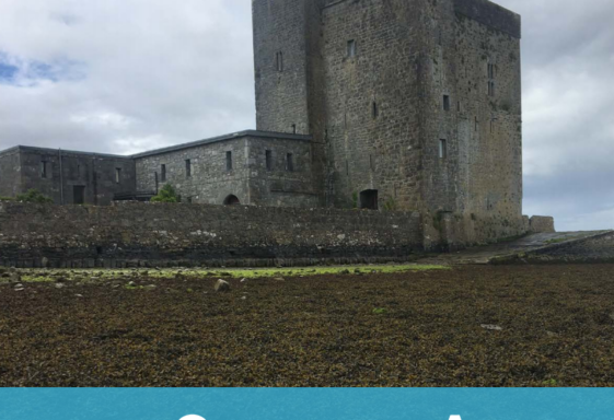 Oranmore Biodiversity Action Plan