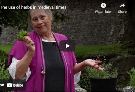 The use of herbs in medieval times