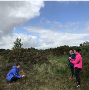 Dunmore Bog Walk
