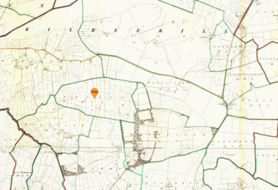 Emlagh, Imleach, a holm or land bordering on a lake