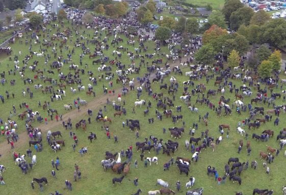 The Fair Green