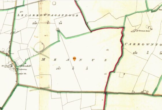 Meanus, Meanas, mines or meadhnus, central land