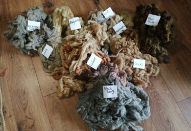 Joyce Country Wool