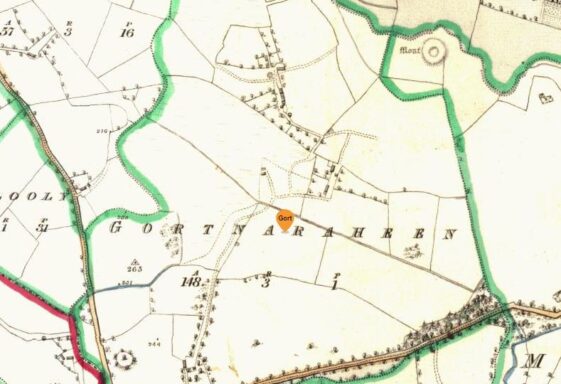 Gortnaraheen, Gort an Riachain, field of the small forts