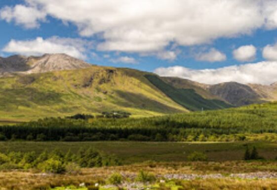 Knockaunbaun