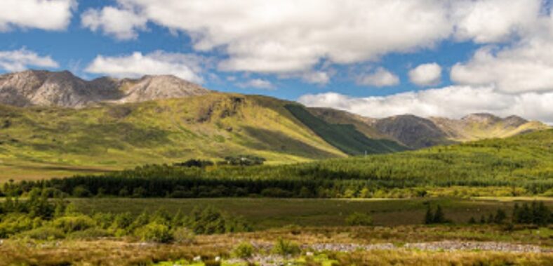 Knockaunbaun | Teresa Philbin