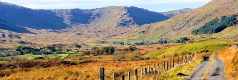Coorloggagh | Teresa Philbin