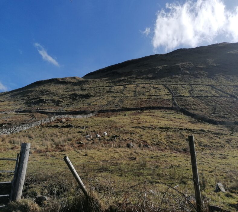 Bohaun | Tomas O Flatharta
