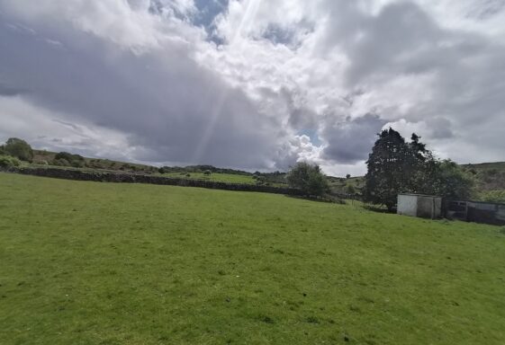 Millpark