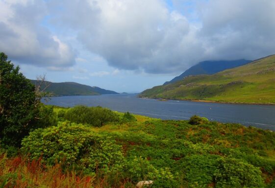 County Galway's Geological Heritage