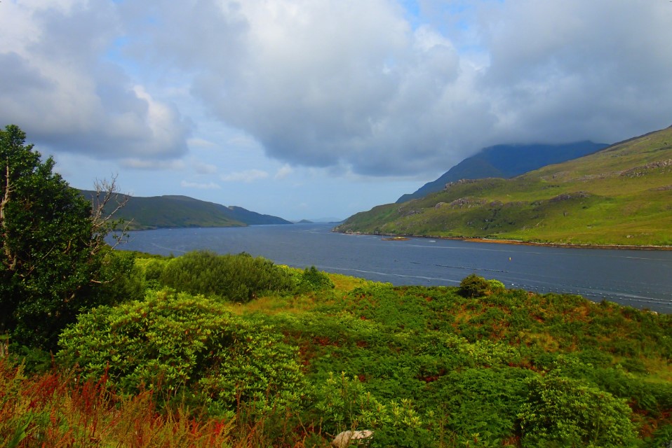 County Galway's Geological Heritage