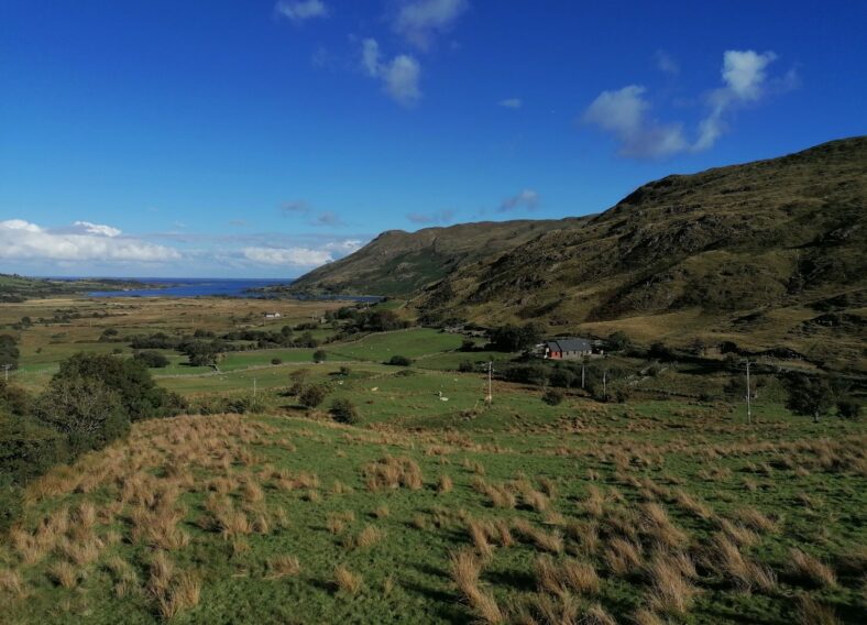 Maumtrasna | Tomas O Flatharta