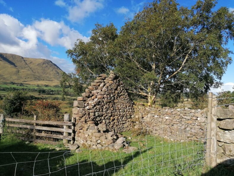 Maumtrasna | Tomas O Flatharta