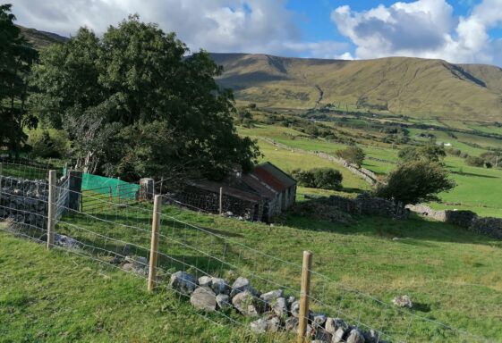 Maumtrasna