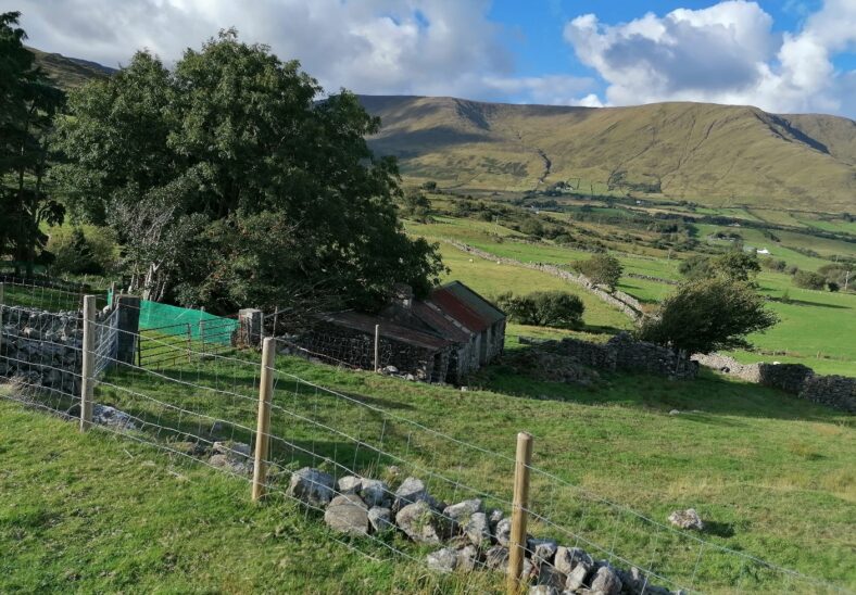 Maumtrasna | Tomas O Flatharta