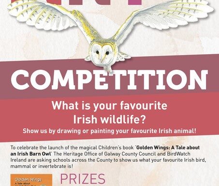 Art Competition