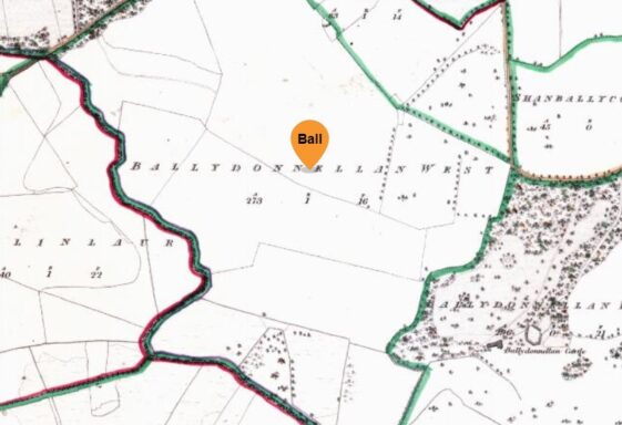 Ballydonnelllan West/Baile Ui Dhonallain/O’Donnellan’s Town