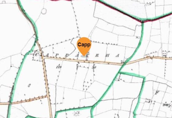 Cappaveha Ceapach Bheithe plot of the birch