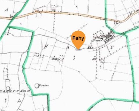 Fahy, An Fhaiche