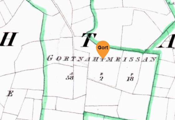 Gortnahimrissan, Gort na hImreasan