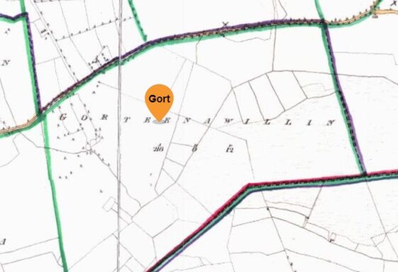 Gorteenawillin, Goirtin an Mhuilinn, little field of the mill