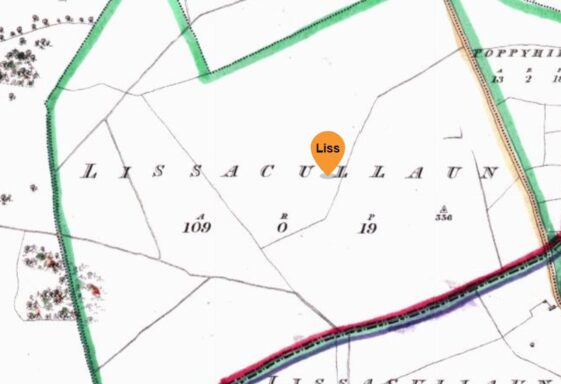 Lissycullaun, Lios Ui Choileain, O’Collins’s fort