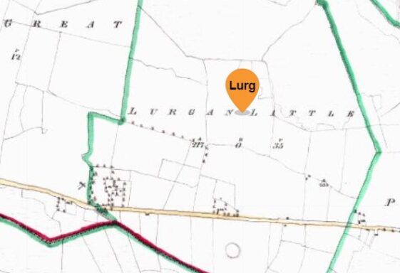 Lurgan Little