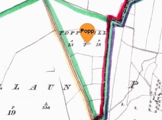 Poppyhill