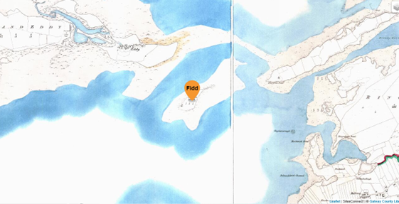 Fiddaun