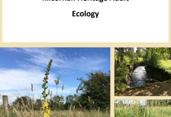 Kilcornan Heritage Audit