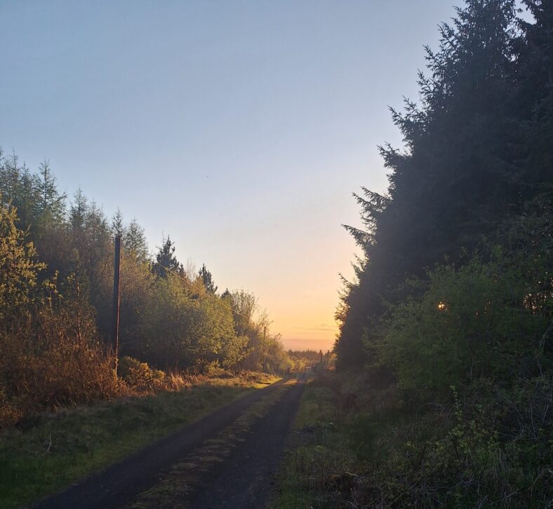 Knockoura | Photo by Peterswell National School