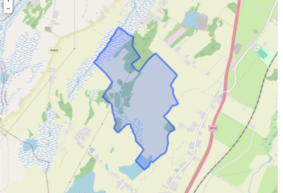Lisheen