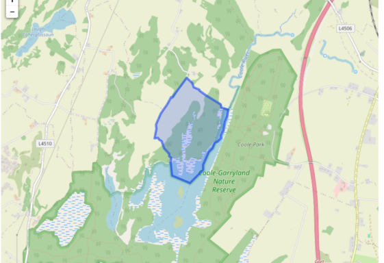 Lisheenacrannagh