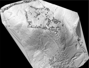 Knockma LiDAR: Bidirectional Hillshade | Paul Naessens