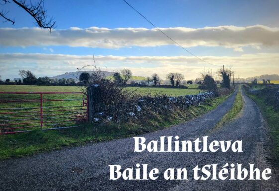 Ballintleva (Baile an tSléibhe)