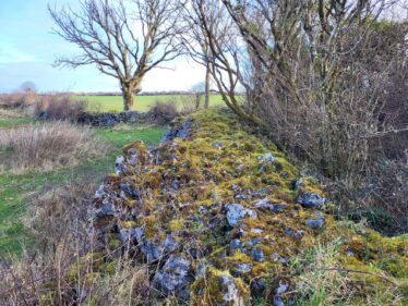 Ballybaun Cashel Wall | Claire Loader