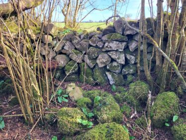 Ballybaun Cashel Internal Drystone Wall | Claire Loader