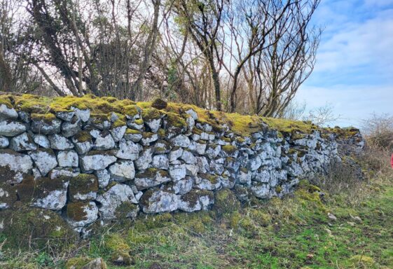 Ballybaun Monuments