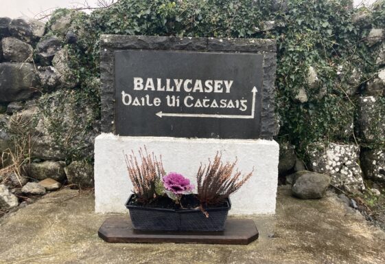 Ballycasey (Baile Uí Chathasaigh)