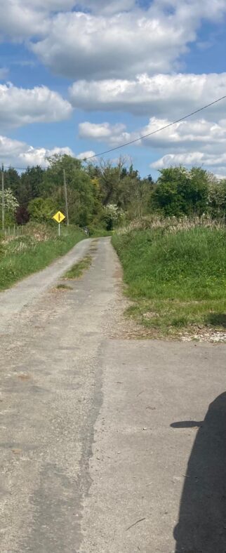 Belderny South