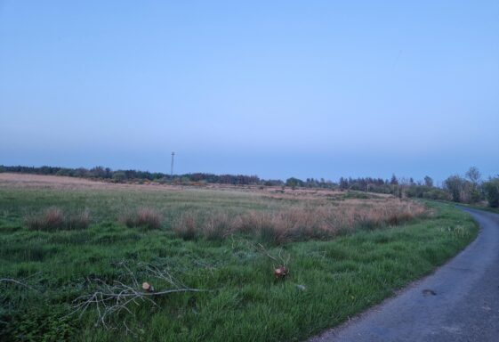 Ballymageraghty