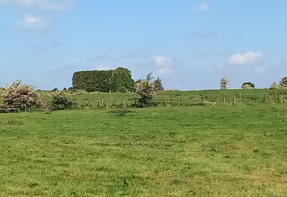 Templemoyle