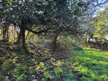 Ballycasey Ringfort External Wall | Claire Loader