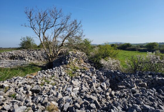 Ballycasey Monuments