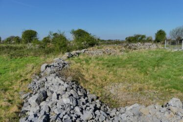 Ballycasey Encloure Wall GA056-008 | Claire Loader
