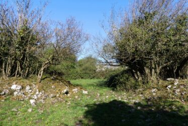 Ballycasey Ringfort Entrance  | Claire Loader