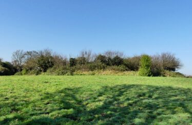 Ballycasey Ringfort GA056-007 | Claire Loader